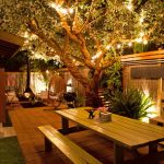 18 Landscape Lighting And Ideas